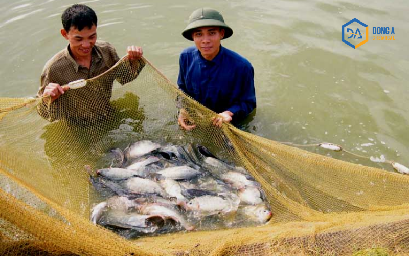 Bà con vui mừng khi áp dụng công nghệ cao trong nuôi trồng mang lợi ích kinh tế cao